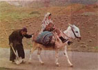 عشق